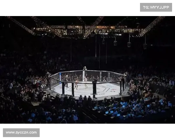 ufc是什么赛制 ufc是什么赛制