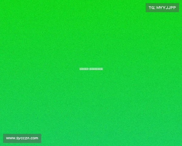 湖人队的赛事 湖人队的赛事叫什么